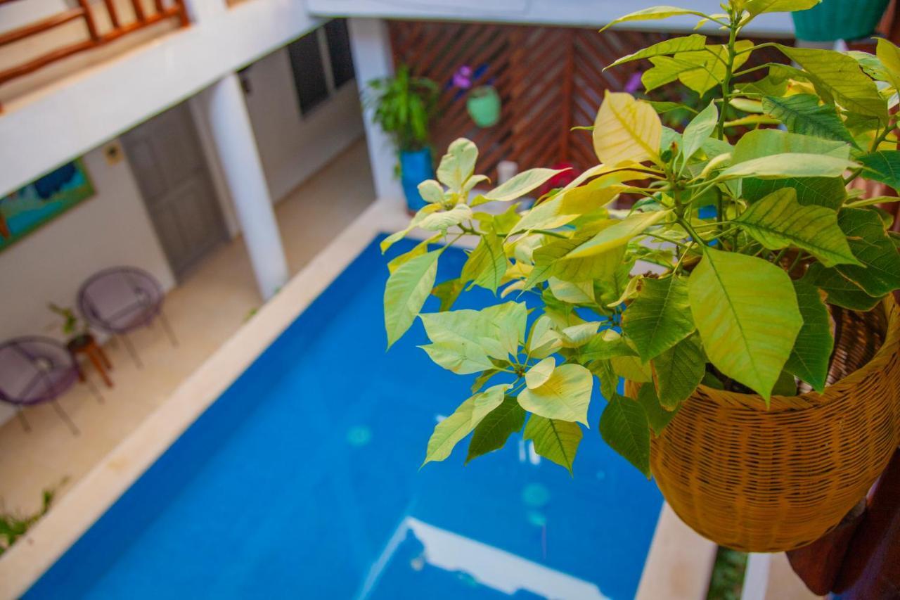 Hotel Mestizo Gallery Tulum