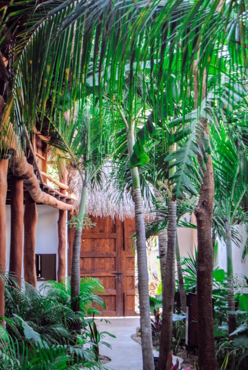Boutique Terranova Hotel 2*