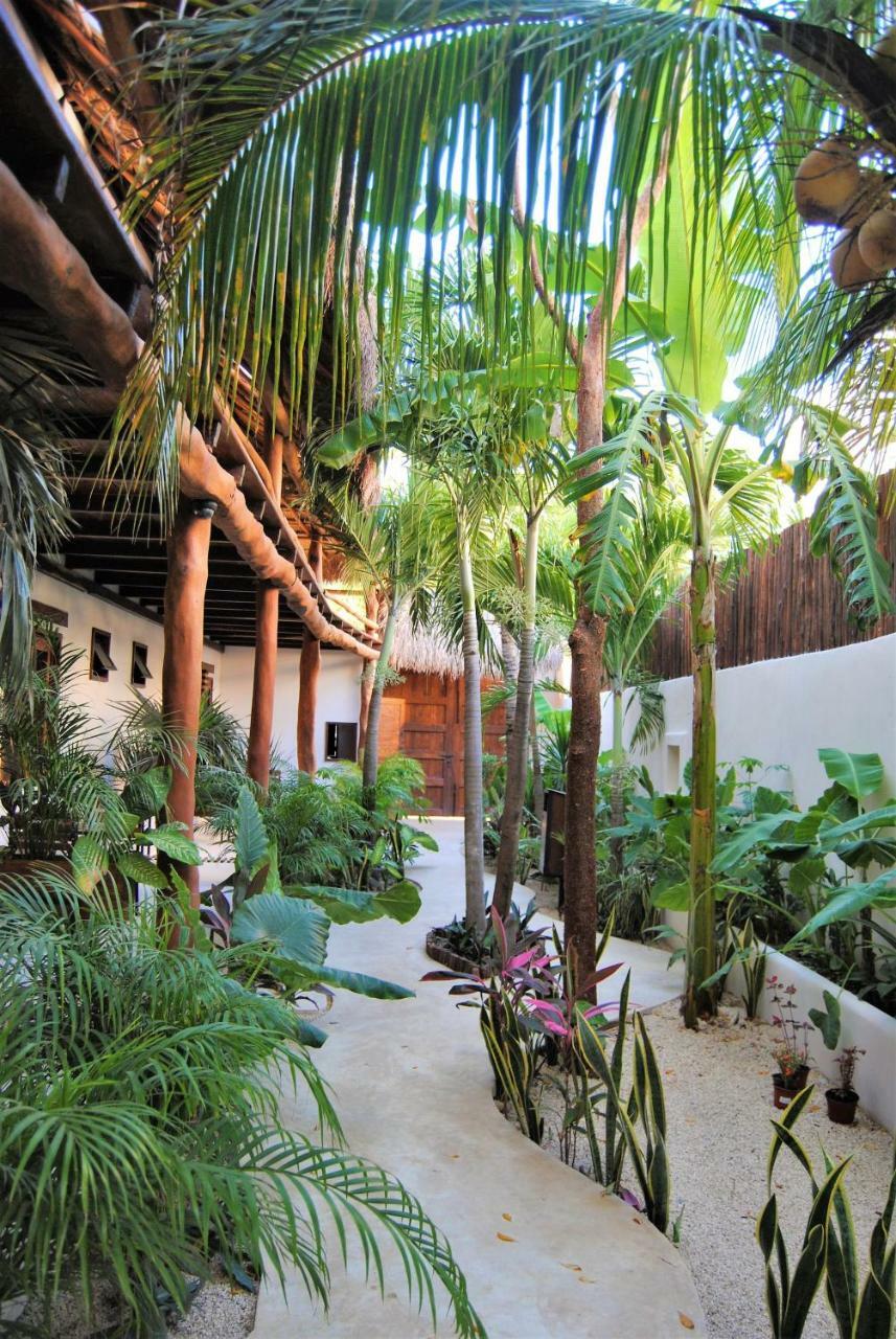 Hotel Boutique Terranova 2*
