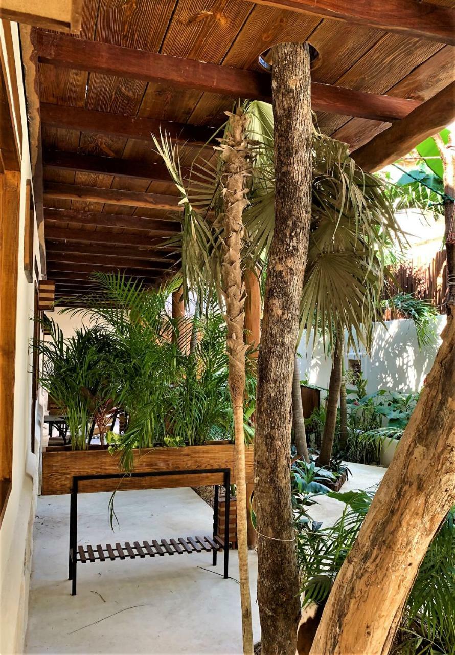 Boutique Terranova Hotel 2*