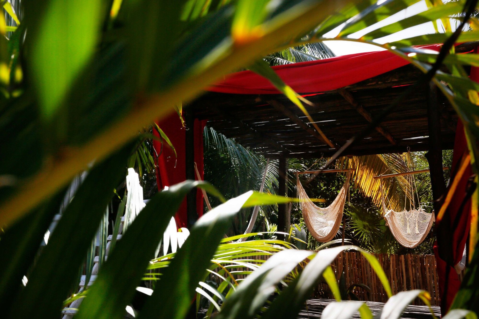 Casa Selva De Luz