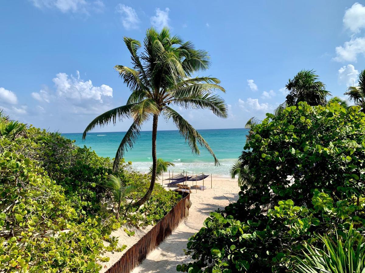 Libelula Beachfront 4*